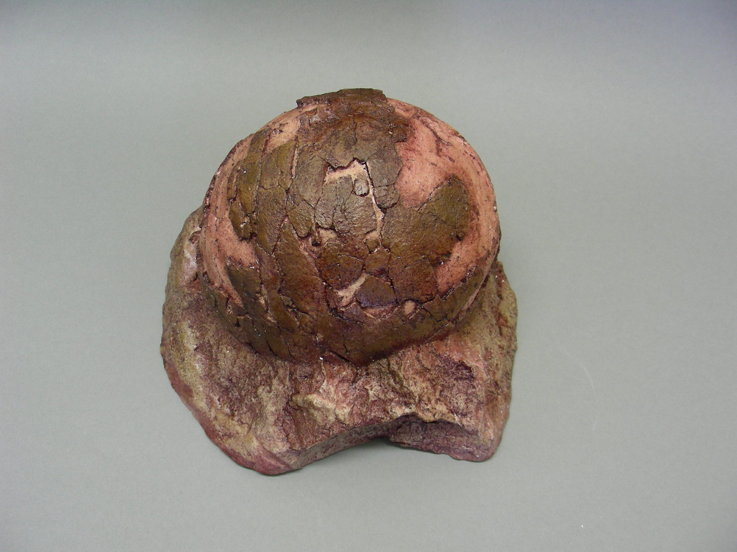 Real dinosaur eggs for sale 2025