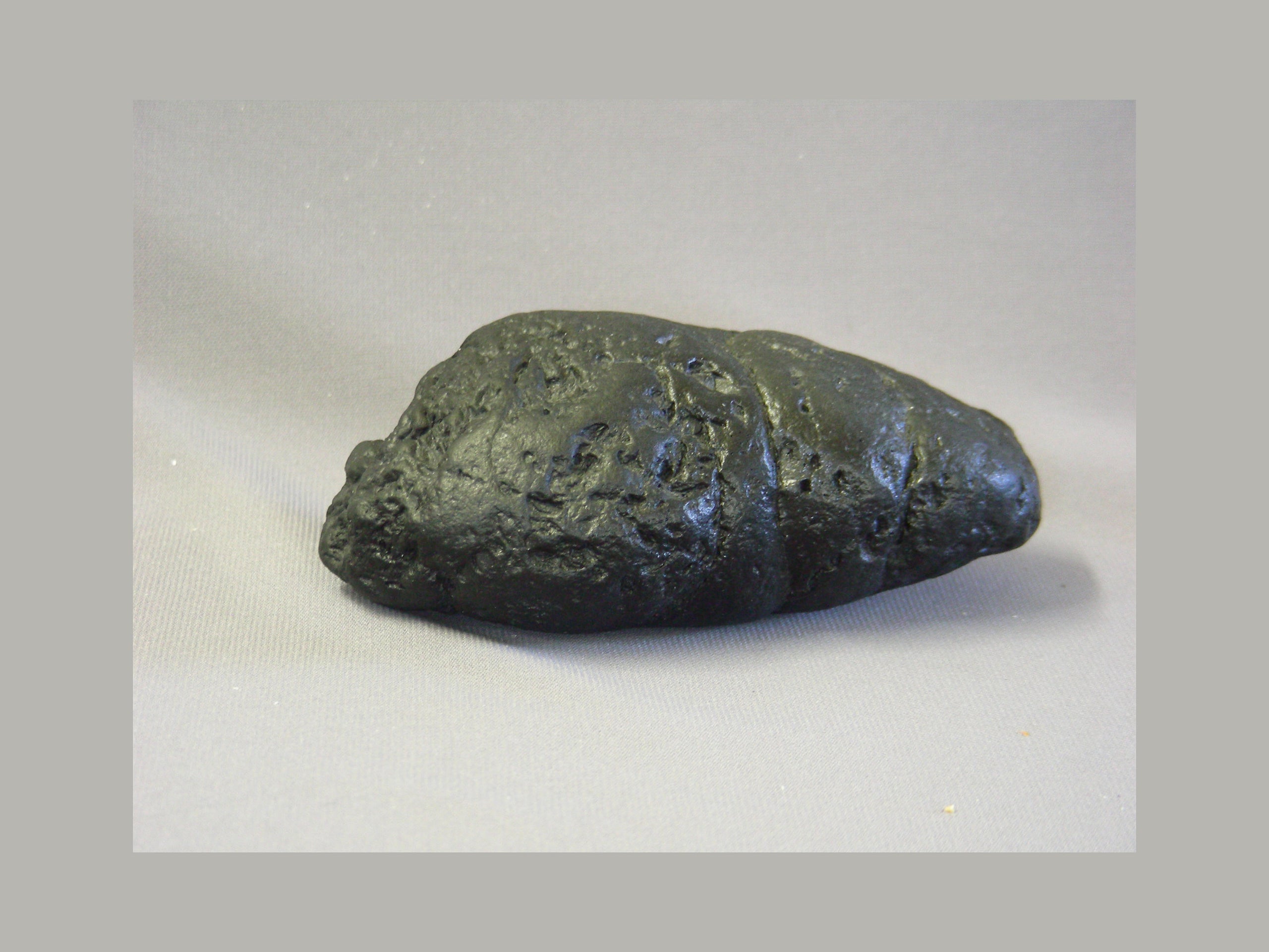 Hi Guys And Gals Is This A Shark Coprolite